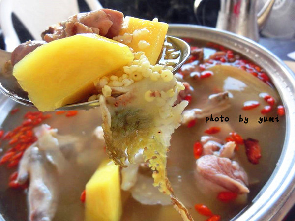 原鄉茶藝土雞城：【邀稿-屏東食記】三地門原住民的在地美食~美味山豬肉、甕仔雞、鴕鳥肉、蜂蛹大餐@原鄉-茶藝土雞城