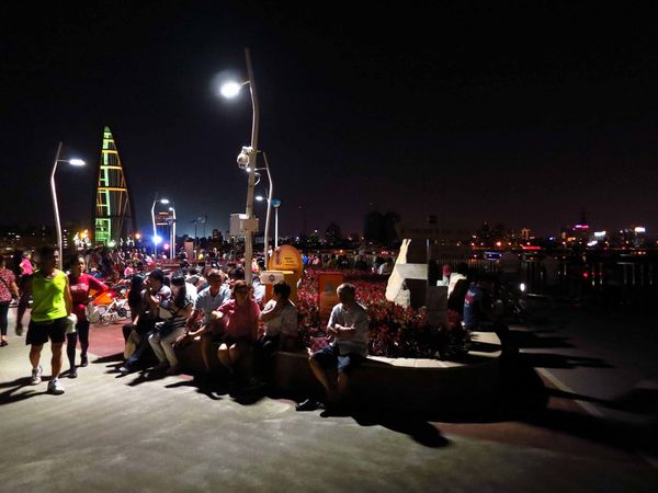 【新莊旅遊】新月橋-散步、河景、美麗橋墩盡收眼底-板橋