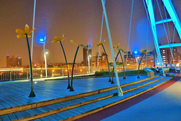 新月橋：新莊-越夜越美麗之璀璨新月橋