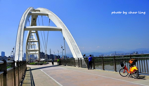 新月橋賞荷-3.JPG - 2016夏之豔陽(花季篇)