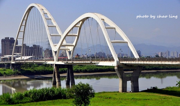 新月橋賞荷-2.JPG - 2016夏之豔陽(花季篇)