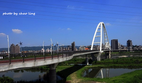 新月橋賞荷-24.JPG - 2016夏之豔陽(花季篇)