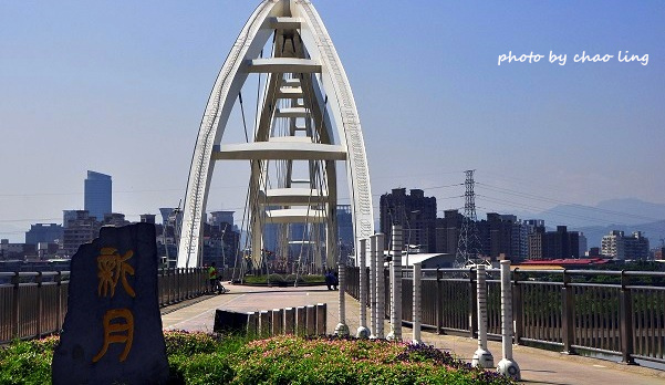 新月橋賞荷-4.JPG - 2016夏之豔陽(花季篇)