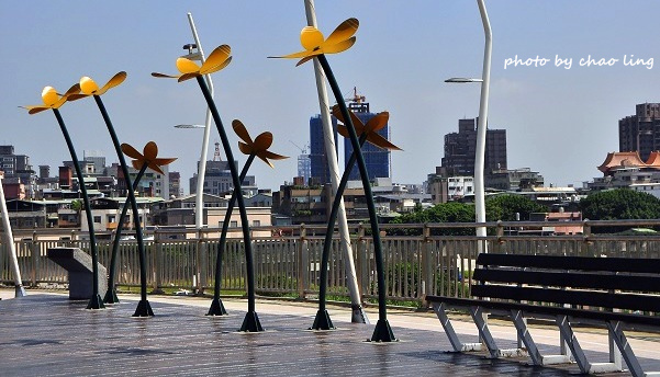 新月橋賞荷-6.JPG - 2016夏之豔陽(花季篇)