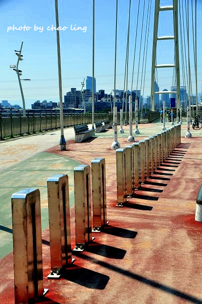 新月橋賞荷-8.JPG - 2016夏之豔陽(花季篇)