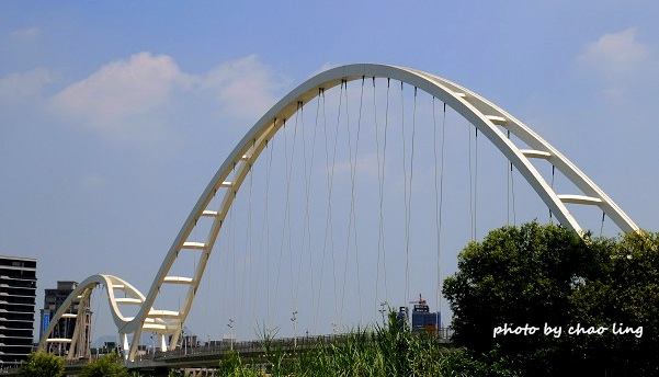 新月橋賞荷-25.JPG - 2016夏之豔陽(花季篇)