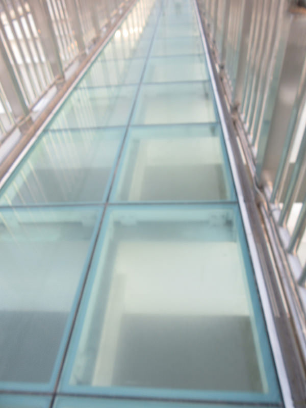 新莊新月橋之旅 (29)