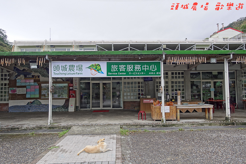 201610頭城農場002.jpg