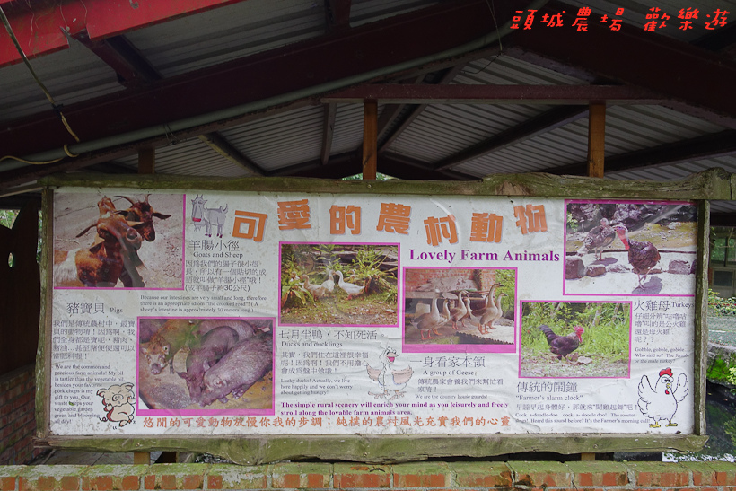 201610頭城農場118.jpg