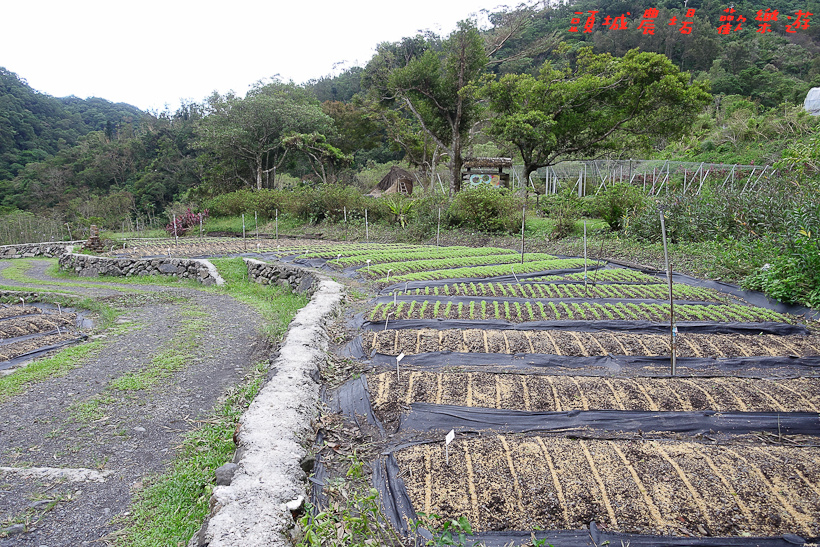 201610頭城農場139.jpg