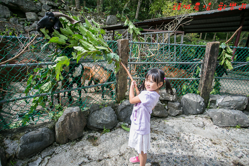 201610頭城農場149.jpg