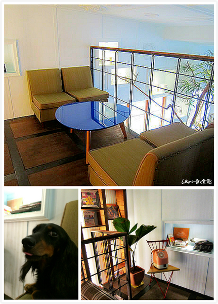 Buka這一隻熊：【台中】好夢幻好療愈好好拍《Buka這一隻熊》