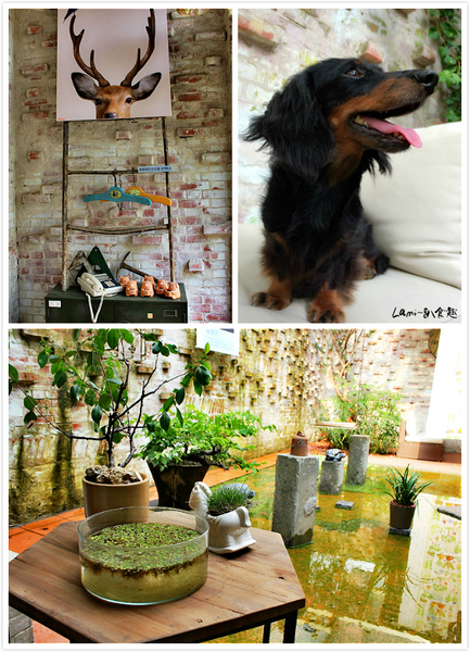 Buka這一隻熊：【台中】好夢幻好療愈好好拍《Buka這一隻熊》