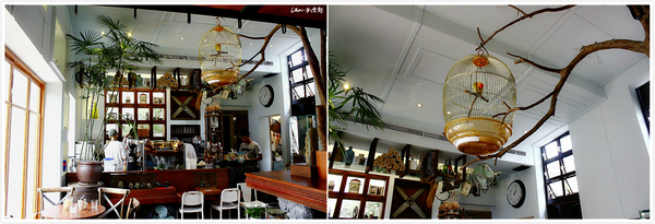 Buka這一隻熊：【台中】好夢幻好療愈好好拍《Buka這一隻熊》