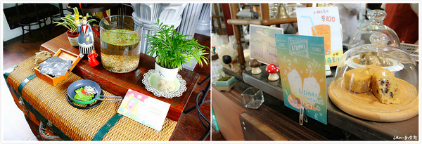 Buka這一隻熊：【台中】好夢幻好療愈好好拍《Buka這一隻熊》