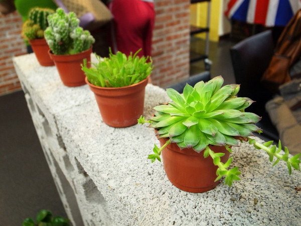 鐵牛原味碳烤牛排：<新北|板橋>嚴選美國CHOICE等級牛肉~平價牛排佼佼者~鐵牛原味碳烤牛排(邀約)