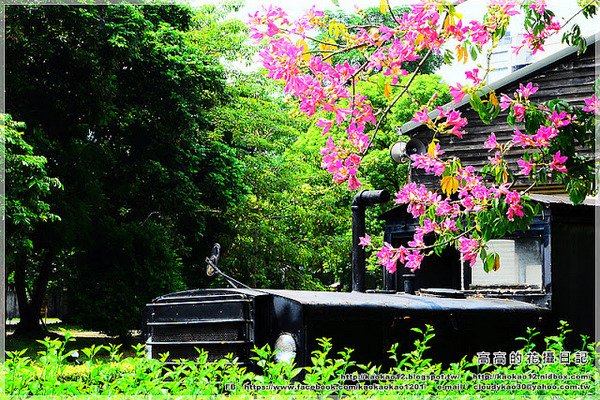 阿里山森林鐵路車庫園區:【嘉義】東區。阿里山森林鐵路車庫園區
