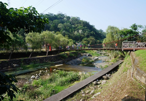 鳴鳳古道:<台灣步道> 苗栗獅潭 鳴鳳古道 吸收芬多精.賞桐賞綠意