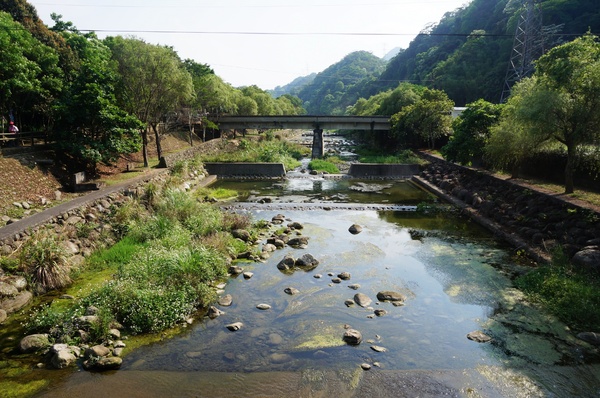 鳴鳳古道:<台灣步道> 苗栗獅潭 鳴鳳古道 吸收芬多精.賞桐賞綠意