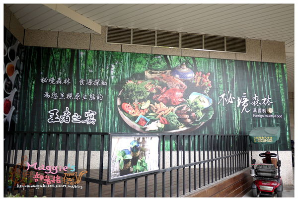 秘境森林 (14).JPG