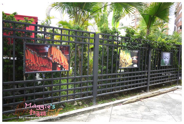 秘境森林 (16).JPG