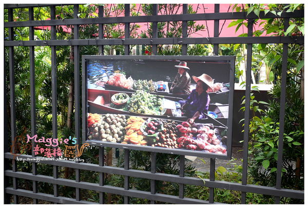 秘境森林 (15).JPG