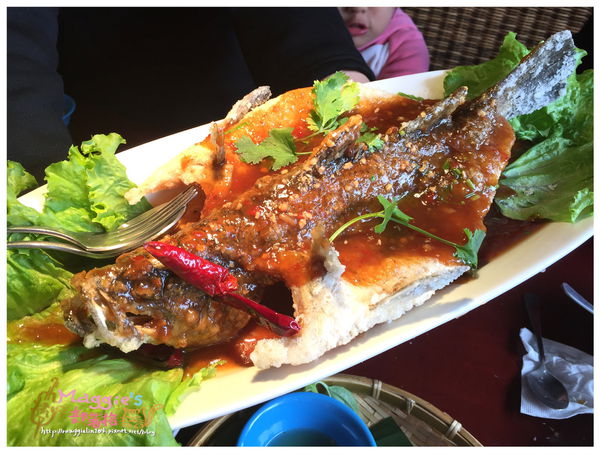 秘境森林 (34).JPG