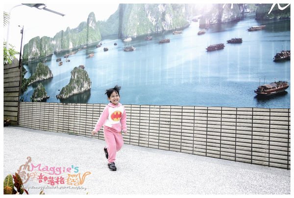 秘境森林 (42).JPG