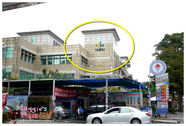 秘境森林 (5).JPG