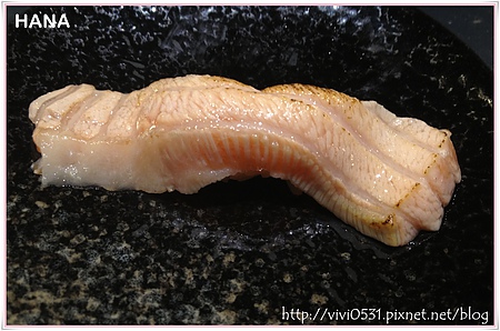 鮭魚.JPG