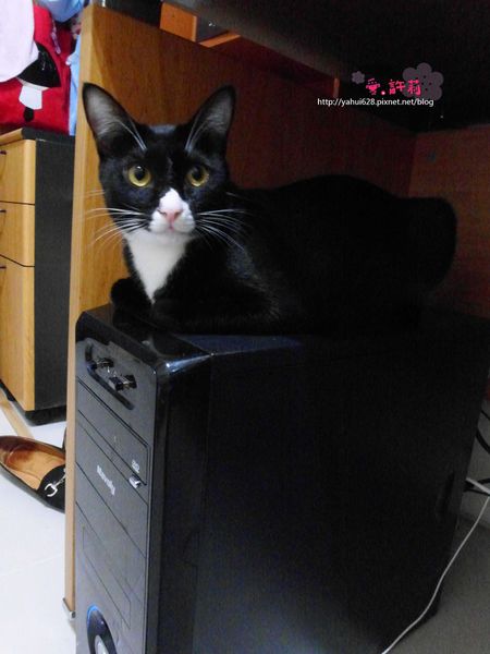 圖書館對面。許莉