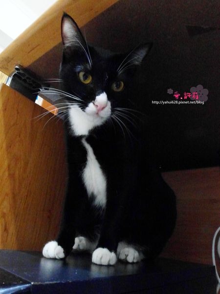 圖書館對面。許莉