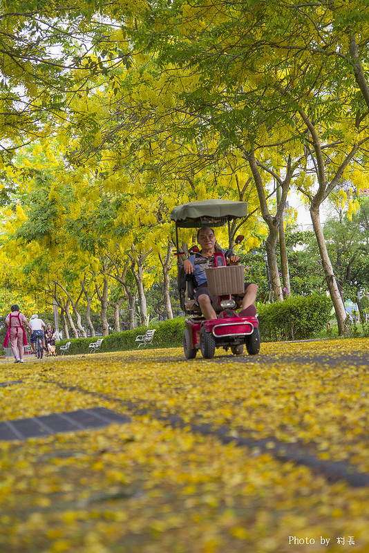 【遊記】{屏東。內埔鄉}榮民黃金隧道:【遊記】{屏東。內埔鄉}阿勃勒~黃金隧道