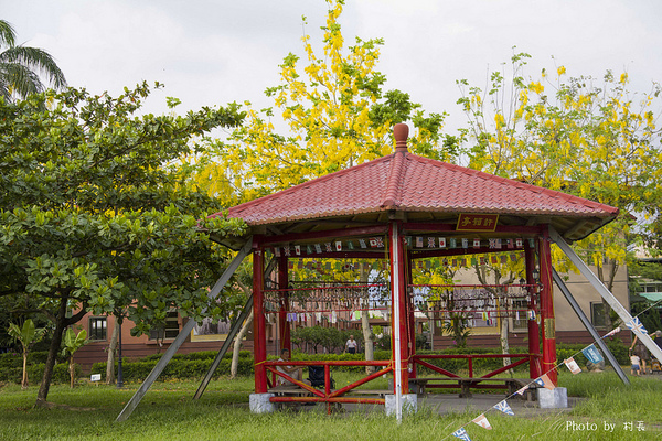 【遊記】{屏東。內埔鄉}榮民黃金隧道:【遊記】{屏東。內埔鄉}阿勃勒~黃金隧道