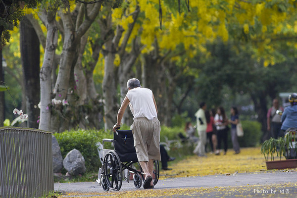 【遊記】{屏東。內埔鄉}榮民黃金隧道:【遊記】{屏東。內埔鄉}阿勃勒~黃金隧道