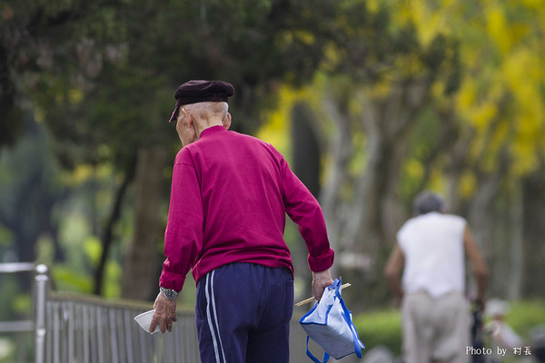 【遊記】{屏東。內埔鄉}榮民黃金隧道:【遊記】{屏東。內埔鄉}阿勃勒~黃金隧道