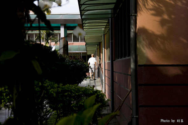 【遊記】{屏東。內埔鄉}榮民黃金隧道:【遊記】{屏東。內埔鄉}阿勃勒~黃金隧道