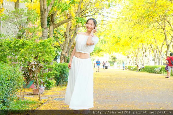 【屏東阿勃勒黃金隧道】屏東榮民之家阿勃勒黃金雨.屬於夏季的浪漫色調