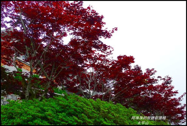 太平山35.JPG