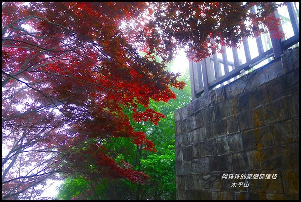 太平山50.JPG
