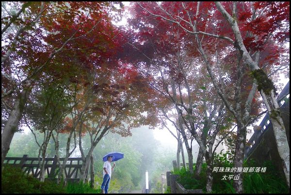 太平山44.JPG