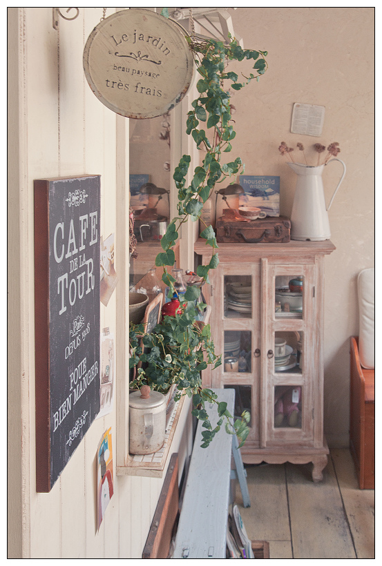 黑兔兔的散步生活