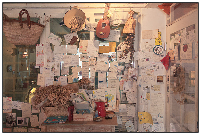 黑兔兔的散步生活