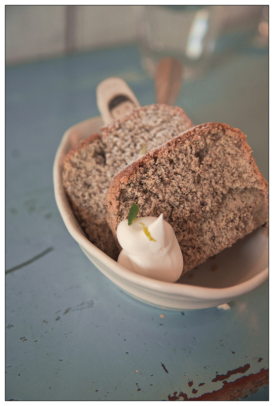 黑兔兔的散步生活