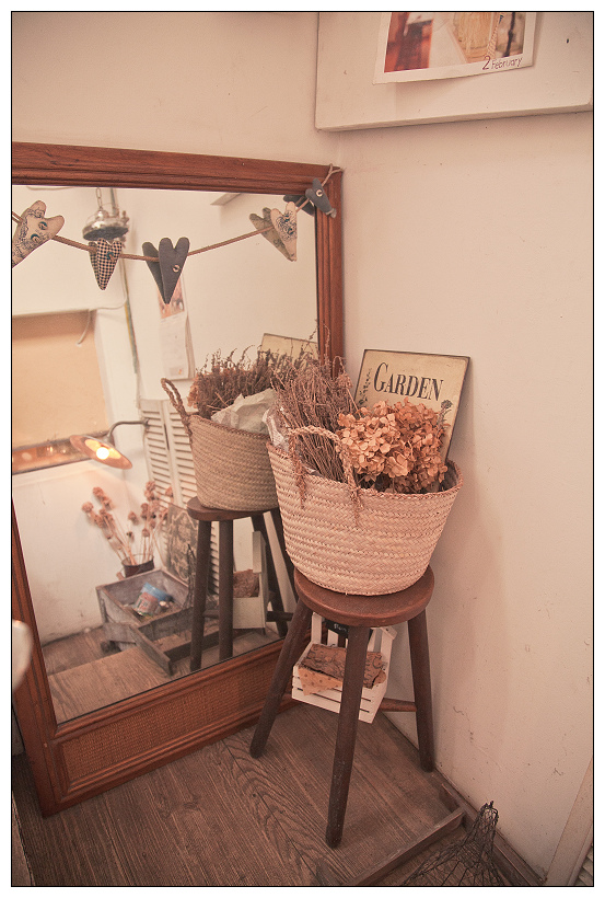 黑兔兔的散步生活