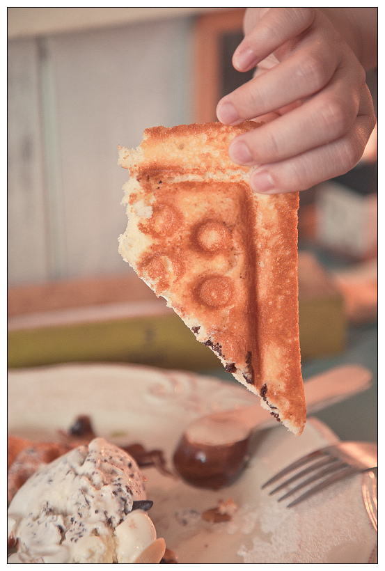 黑兔兔的散步生活