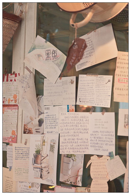 黑兔兔的散步生活