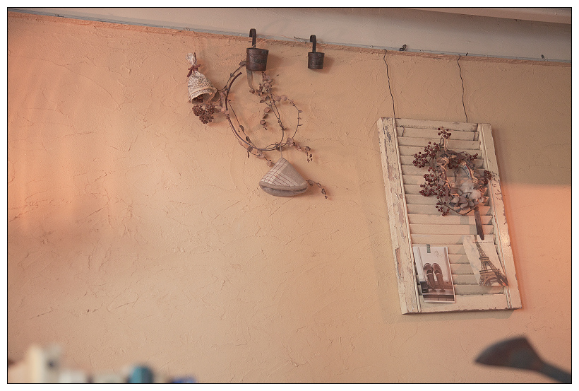 黑兔兔的散步生活