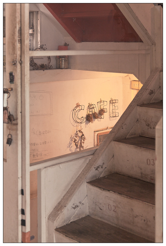 黑兔兔的散步生活