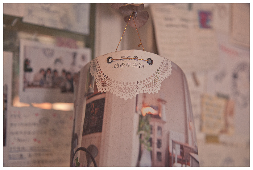 黑兔兔的散步生活